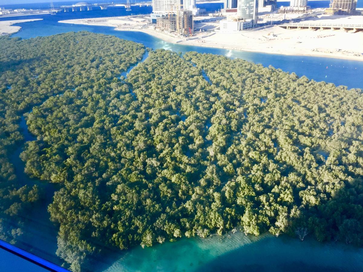 Residential Private With Fabulous Sea & Mangrove View - Al Reem Island - 1106 Apartment